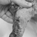 부곡동물병원 이미지