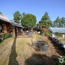 설아다원 이미지