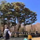 철수야학교가자 이미지