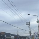 병천고모네순대 | 천안 병천순대거리 고모네순대 솔직후기