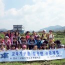 사천초교 이미지