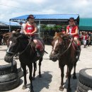 성읍승마장 이미지