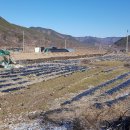 무주읍113 이미지