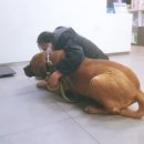 세실농장 이미지