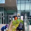 은평구청 이미지