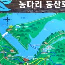 2024.5.26일 06시원마트출발.충북진천 초평호둘레길+미르309m출렁다리 이미지