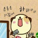 오늘은바다 이미지