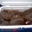 서해목장 이미지