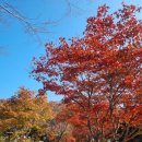 숲에서 | [홍천 캠핑장 숲에서놀자 내돈내산 솔직후기] 홍천 캠핑장에 방문에 해봤어요