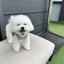 칠곡유치원 이미지