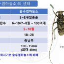 소나무병원 이미지