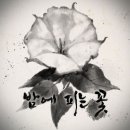 밤에피는꽃