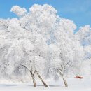 흔들목장 이미지