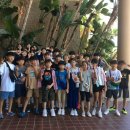 백호타이거즈태권도 이미지