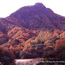 금수강산 이미지