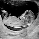 공차 산본점 이미지