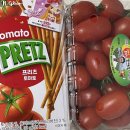 프리츠 토마토/초코멜로바 추천/토마토마 파는 곳 등등
