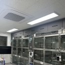 동물병원 여기로 이미지