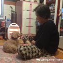 순돌뭐하니 이미지