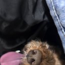 건강한 아리농장 이미지