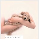 이쁜멍멍이 이미지