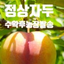 마리아농장 이미지