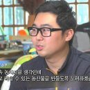 제주건강식품 이미지