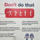 연동차이나