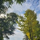 경충대로2709번길 이미지