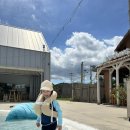 도연이네 민박 이미지