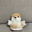 탑뽑기 | 첫 번째) 수원 행리단길 인형뽑기 원정(폭망)