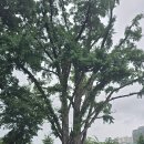 경기둘레길 여주34코스 이미지