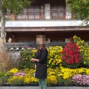 월곡동7 이미지