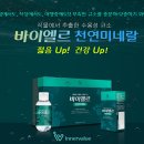 규소 Daum카페