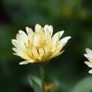 제이스 관광호텔 이미지