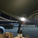 GS25하동전도점 | 경남 애견동반 낚시 캠핑장 하동 노량투다리오토캠핑장