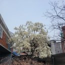 효창공원앞역 경의선숲길 입구 이미지