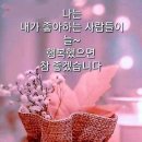 100세의료기 이미지