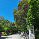 올레길 산림형 1코스 이미지