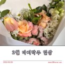 평택로 | 2월의 마지막, 봄의 시작