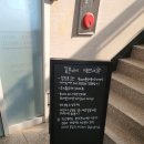 꽃분이네애견카페 내돈내산 후기. 망이의 첫 퍼푸치노 ㅎㅎ