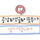 마라세계 훠궈 네이버블로그