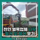 서울농약사 | 천안 벌목업체 나무 철거 및 제거 후기