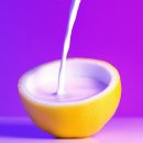 더 뷰티 독 이미지