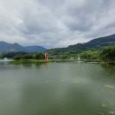 평사리의 별빛 이미지