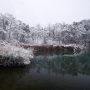 Fine Art Photography Awards - 자연 부문 이미지