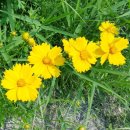 두륜산농장 이미지