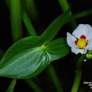 파주대원초등학교 이미지