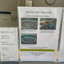 캠프파이브 | 경주캠핑장 캠프파이브, 자연 속 하루 경주숙소추천