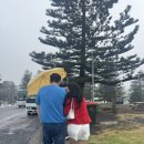 (주)비볼드커뮤니케이션즈 | 4편_5일차 ✈️ 울릉공, 볼드힐전망대, 키아마 블로우홀, 웨스트필드 파라마타 + 패키지 쇼핑코스 솔직후기
